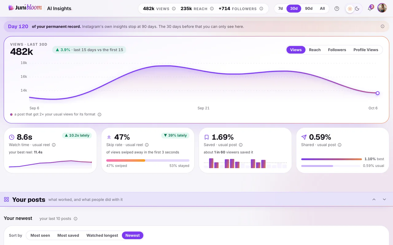 The top of AI Insights: the strip that counts the days of the permanent record, over the trend of views